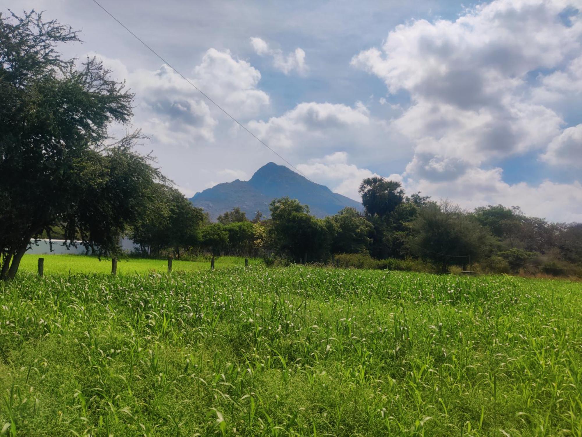 Arunachala Houses Tiruvannāmalai 外观 照片